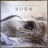Lisa Gerrard & Jules Maxwell - Burn (color) (LP)