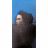 Виниловая пластинка Billie Eilish - Hit Me Hard And Soft (Limited Edit) (coloured) (LP)