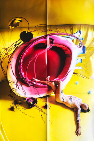 Harry Styles - Fine Line (2LP)