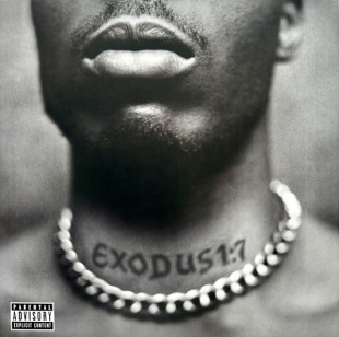 DMX - Exodus (LP)