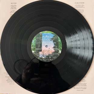 Виниловая пластинка Vanessa Paradis - Les Sources (LP)