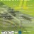 Top Of The Dance Charts 2004 (DVD)
