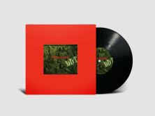 Виниловая пластинка ДДТ – Любовь (LP)